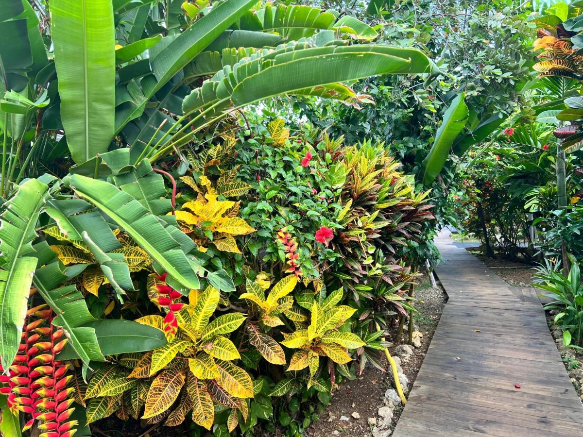 Jamaica Colors Hotel And Eco-Retreat Port Antonio Kültér fotó